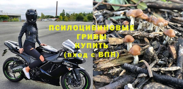 гидра Алзамай