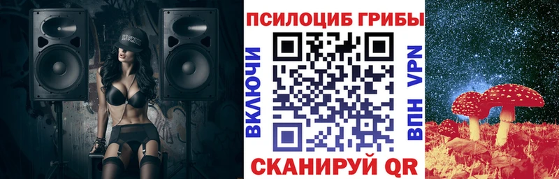 Галлюциногенные грибы Psilocybine cubensis  Ликино-Дулёво 