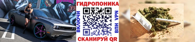 kraken   Ликино-Дулёво  Канабис MAZAR 